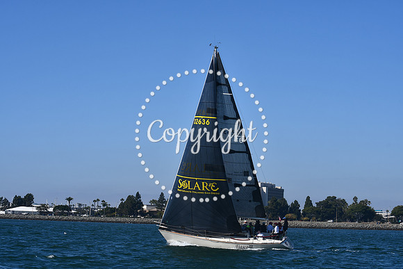 DSC_1398 (1)