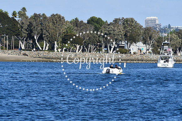 DSC_2329 (1)
