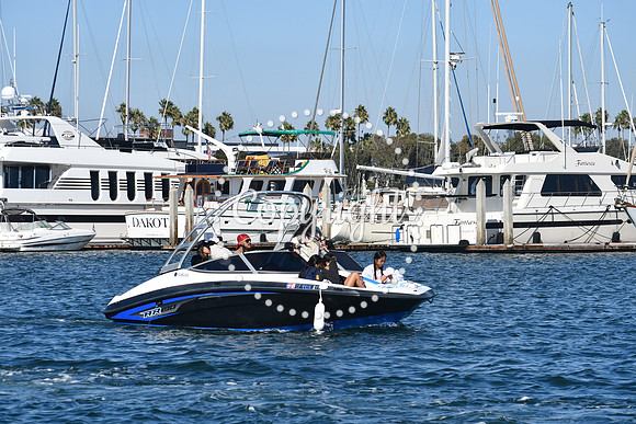 DSC_1516 (1)