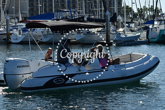 DSC_2053 (1)