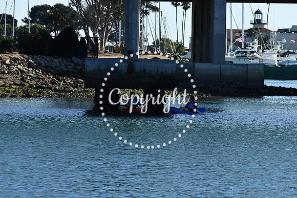 DSC_2206 (1)