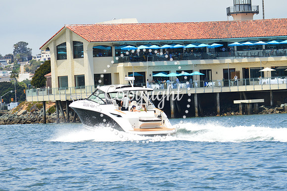 DSC_0064 - Copy