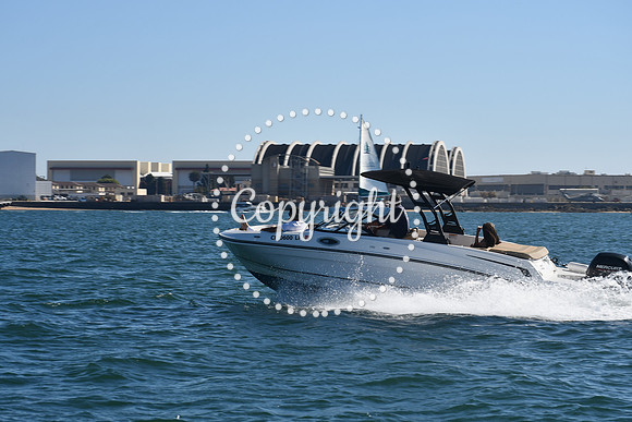 DSC_1462 (1)