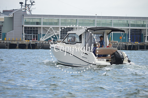 DSC_0249 - Copy