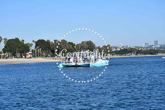 DSC_1522 (1)