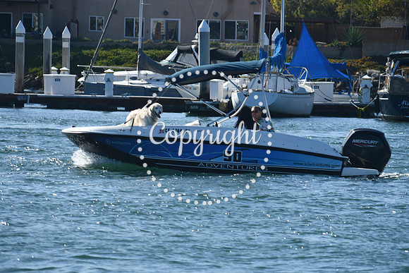 DSC_1512 (1)