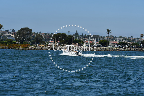 DSC_0231 (1)