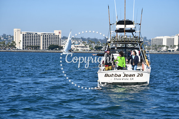 DSC_1495 (1)