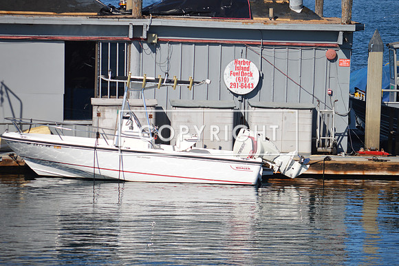 DSC_0003 (1)