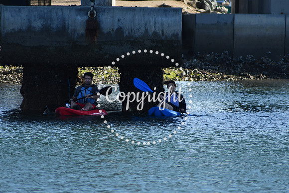 DSC_2209 (1)