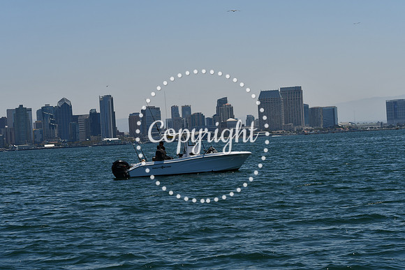 DSC_0127 (1)
