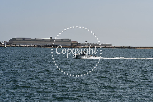 DSC_0593 (1)