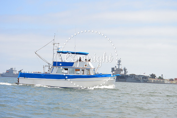 DSC_0274 - Copy