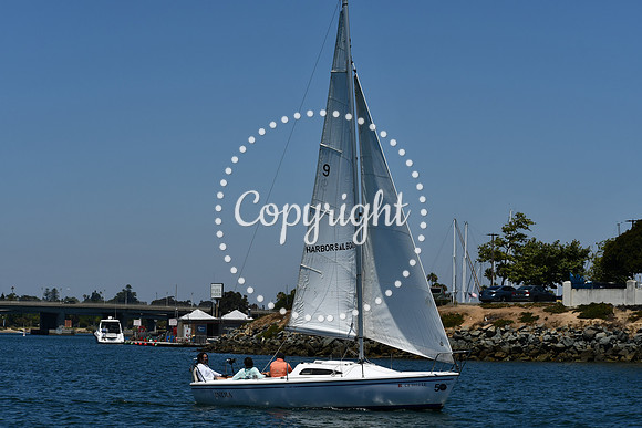 DSC_0266 (1)