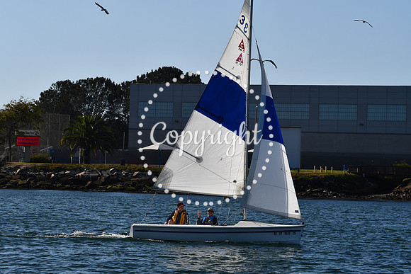 DSC_2241 (1)