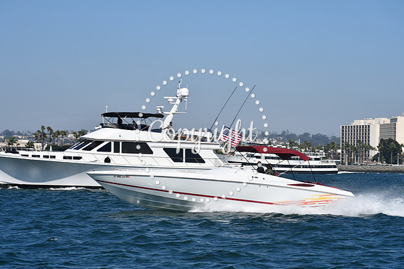DSC_1255 (1)