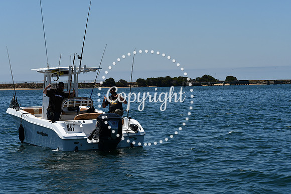 DSC_0141 (1)