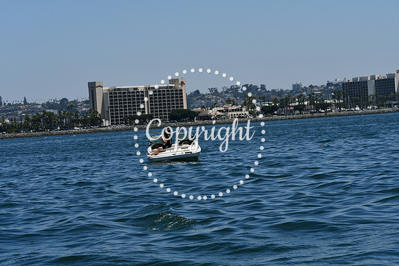 DSC_0118 (1)