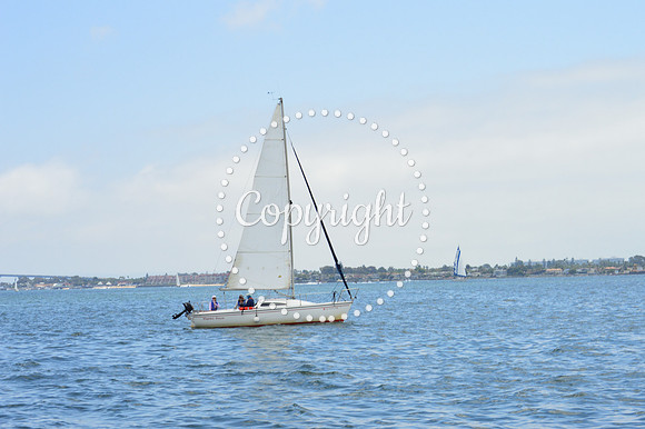 DSC_0094 - Copy