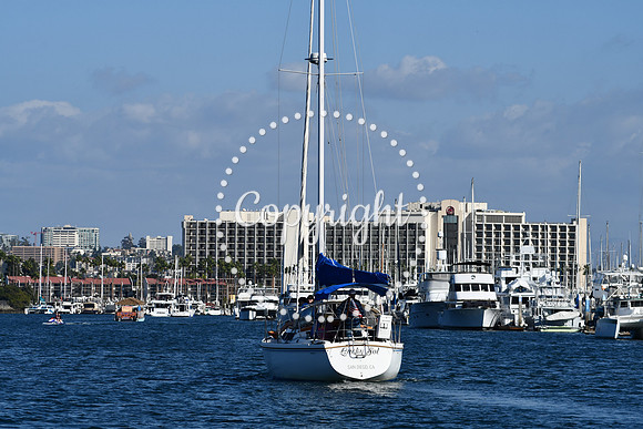 DSC_2181 (1)