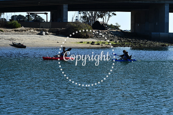 DSC_2215 (1)