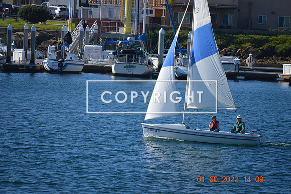 DSC_0101 (1)