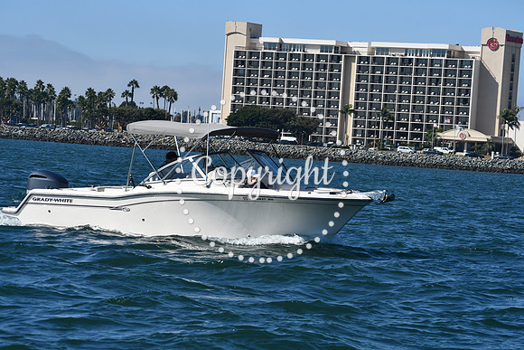 DSC_1450 (1)