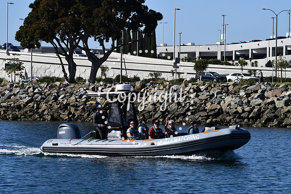 DSC_2072 (1)