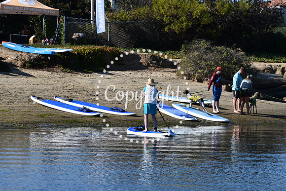 DSC_2205 (1)