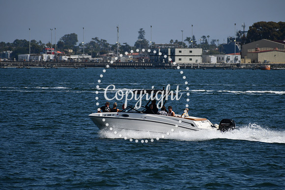 DSC_0599 (1)