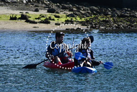 DSC_2217 (1)