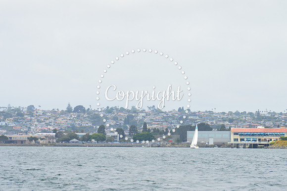 DSC_0072 - Copy