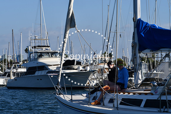 DSC_2177 (1)
