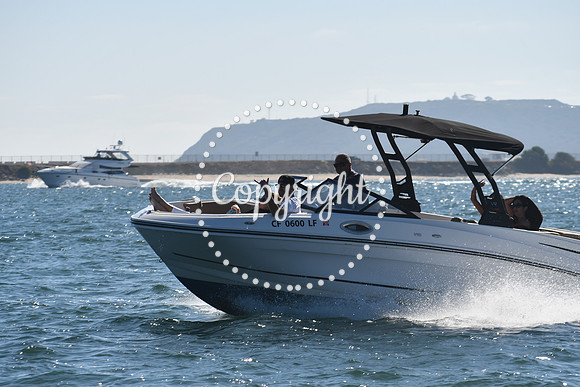 DSC_1460 (1)