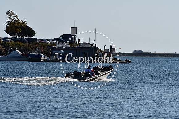 DSC_2191 (1)