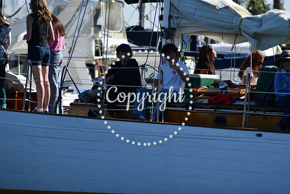 DSC_2068 (1)