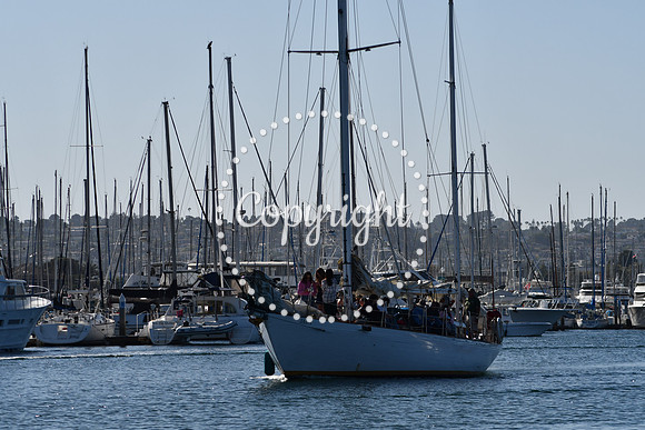 DSC_2061 (1)