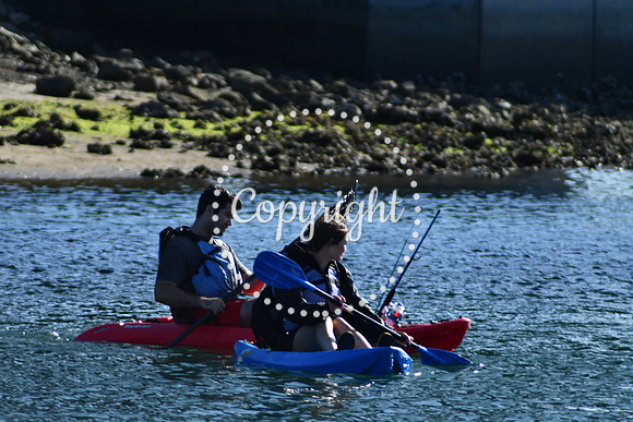 DSC_2218 (1)