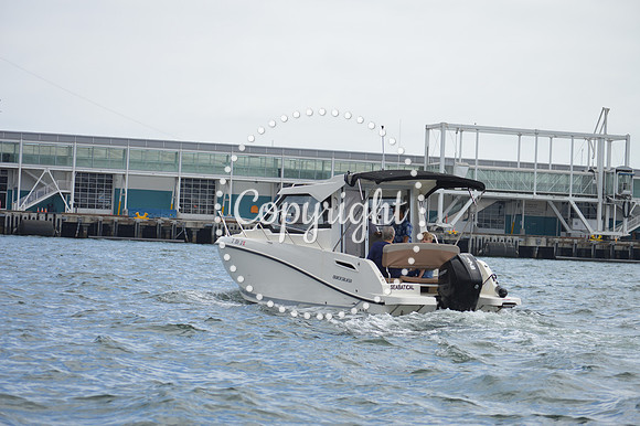 DSC_0248 - Copy