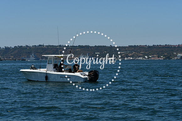 DSC_0148 (1)