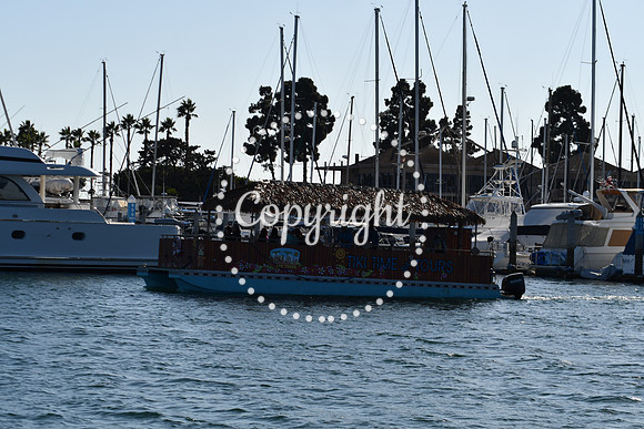 DSC_2160 (1)