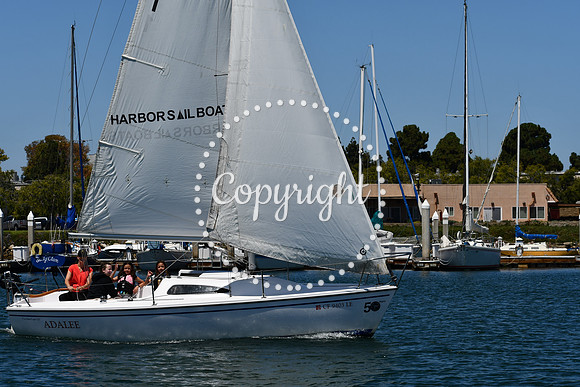 DSC_0063 (1)