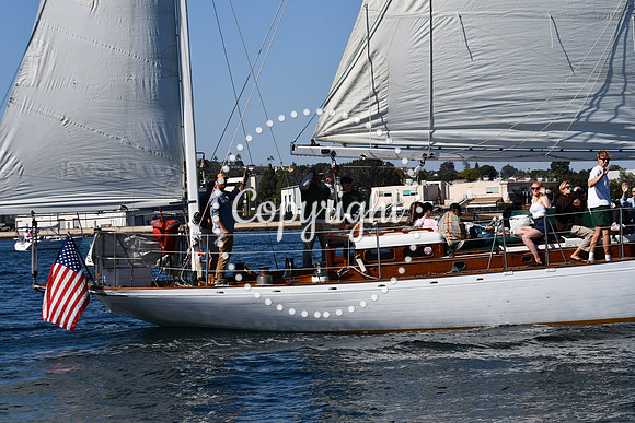 DSC_1996 (1)