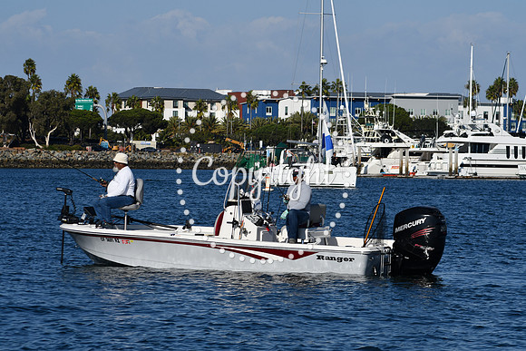 DSC_2251 (1)
