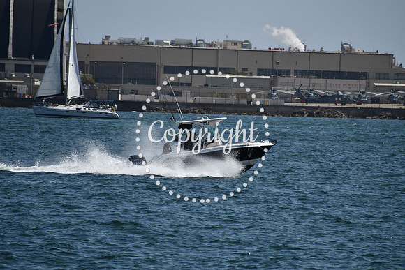 DSC_0558 (1)
