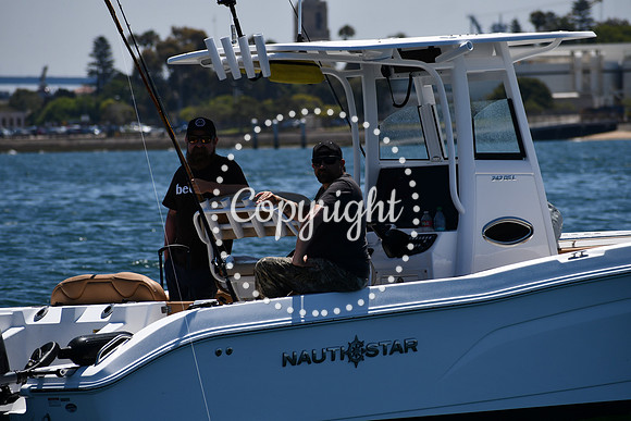 DSC_0133 (1)