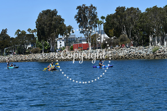 DSC_0034 (1)