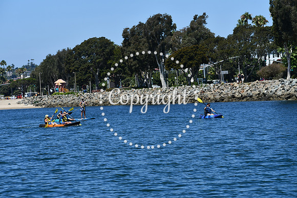 DSC_0033 (1)
