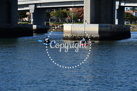 DSC_2187 (1)
