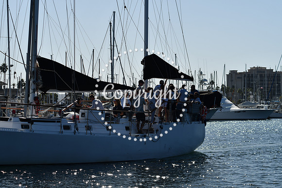 DSC_2092 (1)
